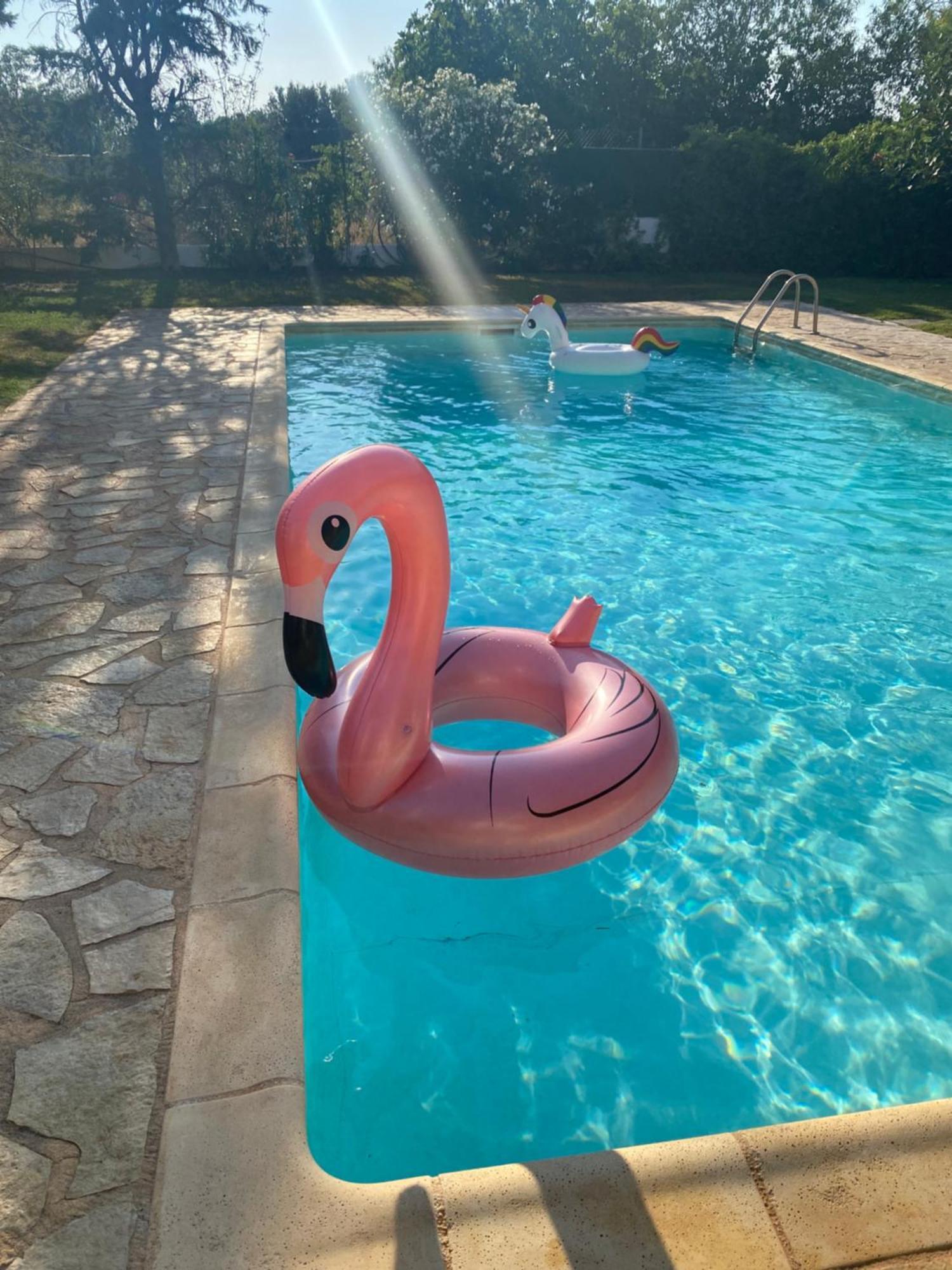 Relaxing Villa With Swimming Pool And Garden Agios Georgios  Экстерьер фото
