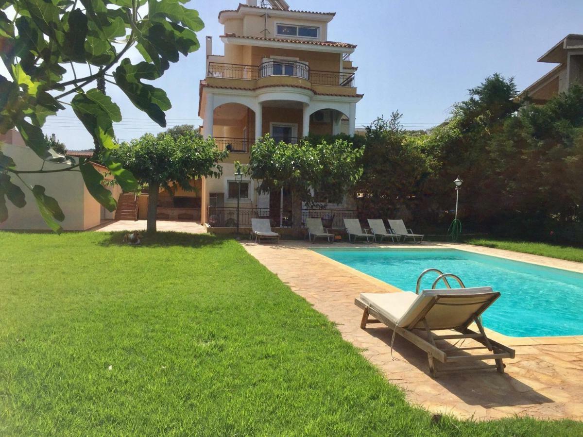 Relaxing Villa With Swimming Pool And Garden Agios Georgios  Экстерьер фото