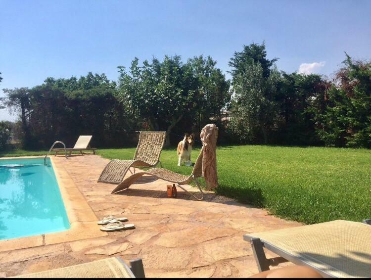 Relaxing Villa With Swimming Pool And Garden Agios Georgios  Экстерьер фото