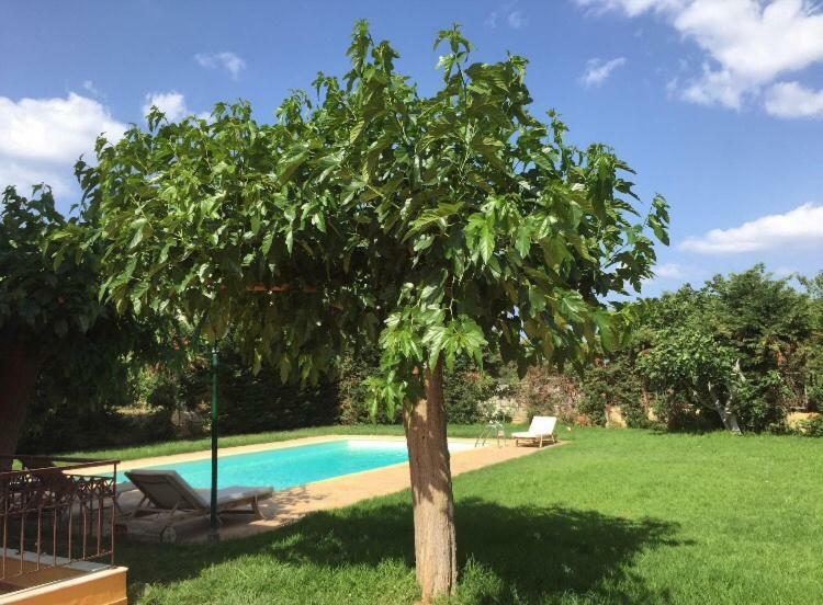 Relaxing Villa With Swimming Pool And Garden Agios Georgios  Экстерьер фото